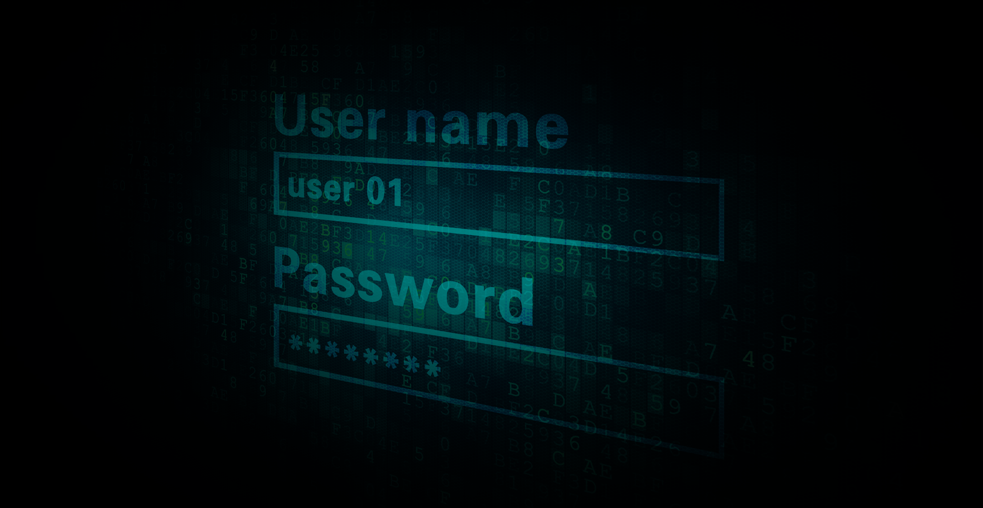 123
